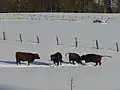 Winterspaß