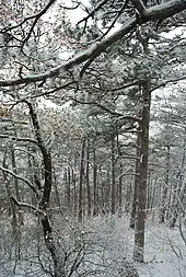 Am Teufelstein
