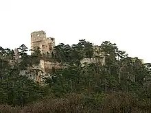 Rechts: Ruine Emmerberg aus Nord (2007), Links: Grundrisszeichnung von 1885