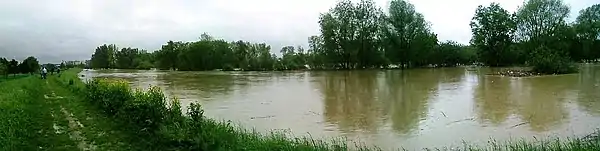 Wisłoka bei Jasło