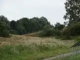 Wisseler Dünen