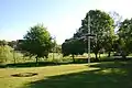 Wiese am Dorfteich