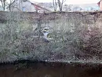Die Kalksteinwand im Tiergehege