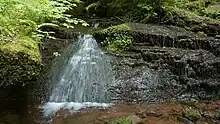Wolfsschlucht