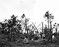 U.S. Marines der 1st Marine Division mit gehisster Flagge auf dem Gipfel von Wolmido, 1950