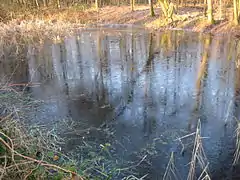 Der See in der Breite