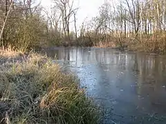 Das südliche Ende des Sees