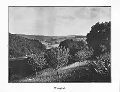 Das Woogtal im Jahr 1900