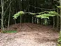 Wp 10/34,Schutthügel des Holzturms(Zustand Juli 2009)