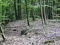 Wo 10/35Oberer Holzturmhügel(Zustand Juli 2009)