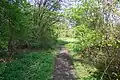 Der Eulenkopfweg