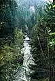 Die obere Wutachschlucht bei der Ruine Stallegg