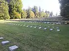 alternative Beschreibung