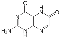 Struktur von Xanthopterin