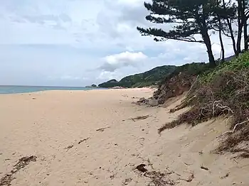 Nagata-Strand im Nordwesten Yakushimas
