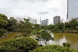 Blick über den Garten