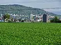 Oerlikon und Nordwestflanke