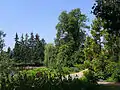 Arboretum