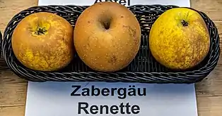 Zabergäurenette
