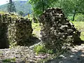 Burg Wołek