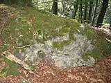 Mauerreste der Zangeburg