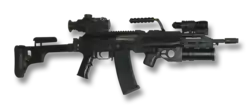 Zastava M21