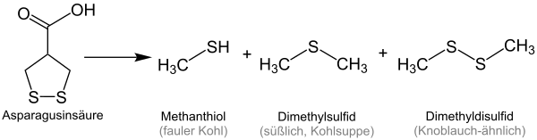Zerfall von Asparagusinsäure zu schwefelhaltigen Verbindungen