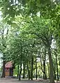 Schlosspark mit Konzertmuschel