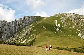 Blick von Südosten über den Zlackensattel auf die Mitteralm