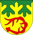 durch Tannenreisschnitt abgeteiltes Schildhaupt im Wappen von Heinersdorf an der Tafelfichte