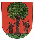 Wappen von Rokytnice v Orlických horách