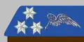 Mannschaften Kraftfahrtruppe