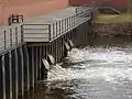 Zulauf der Boize in das Boizenburger Stadthafen-Becken