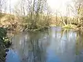 Zusammenfluss von Bega (von rechts) und Salze