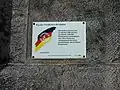 Der Weg der friedlichen Revolution