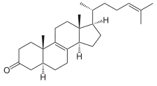Zymosteron