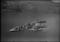 Werner Friedli (Fotograf): Brissago-Inseln, historisches Luftbild (1950)