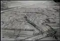 Melser Au bei Sargans (SG), Windschutzpflanzung, Rheinebene, 1947