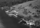 1954