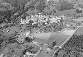 Ponte Capriasca. Historisches Luftbild von Werner Friedli (1964)