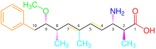 Strichformel des Moleküls