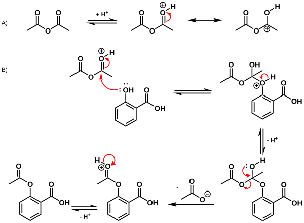 ASS-Synthese