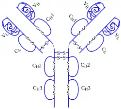 Adalimumab