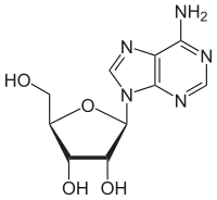 Strukturformel von Adenosin