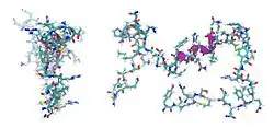 Adrenomedullin