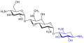 Apramycin(blau: Desoxystreptamin-Struktur)