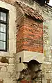 Aborterker an der Burg Campen