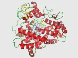 Cytochrom P450 2D6