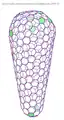 Symmetrie eines konischen Viruskapsids
