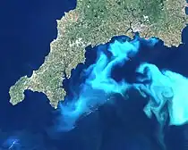 Algenblüte von G. huxleyi vor Cornwall 1999